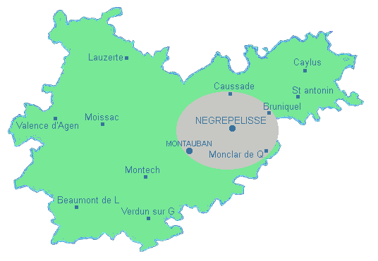 Intervention  domicile jusqu' 20 km de Ngrepelisse (Montauban, Albias, Montricoux, St Etienne, Monclar, etc..). Intervention  distance dans le monde entier.